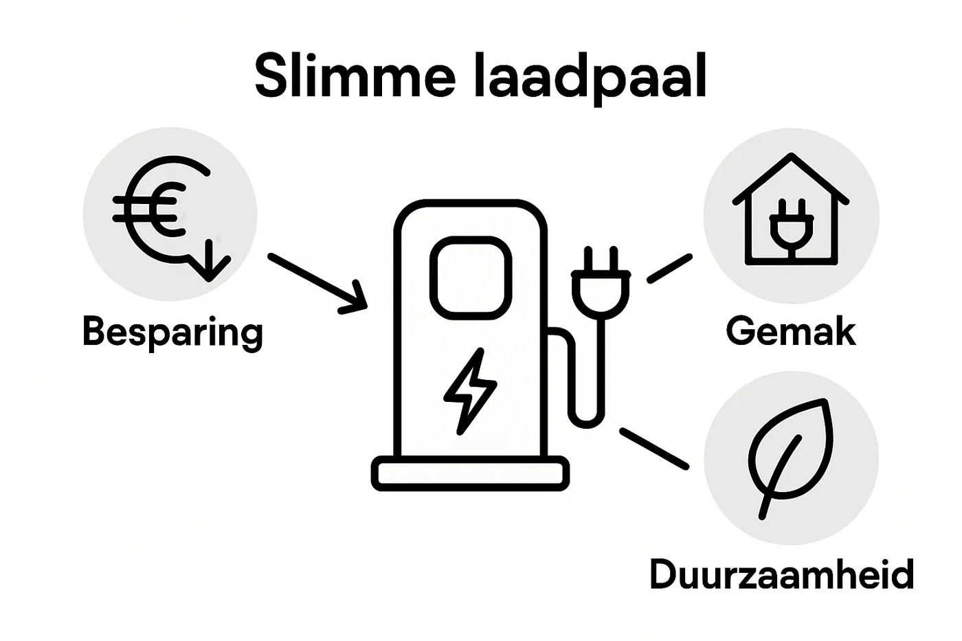 Infographic: De voordelen van een slimme laadpaal op een rij